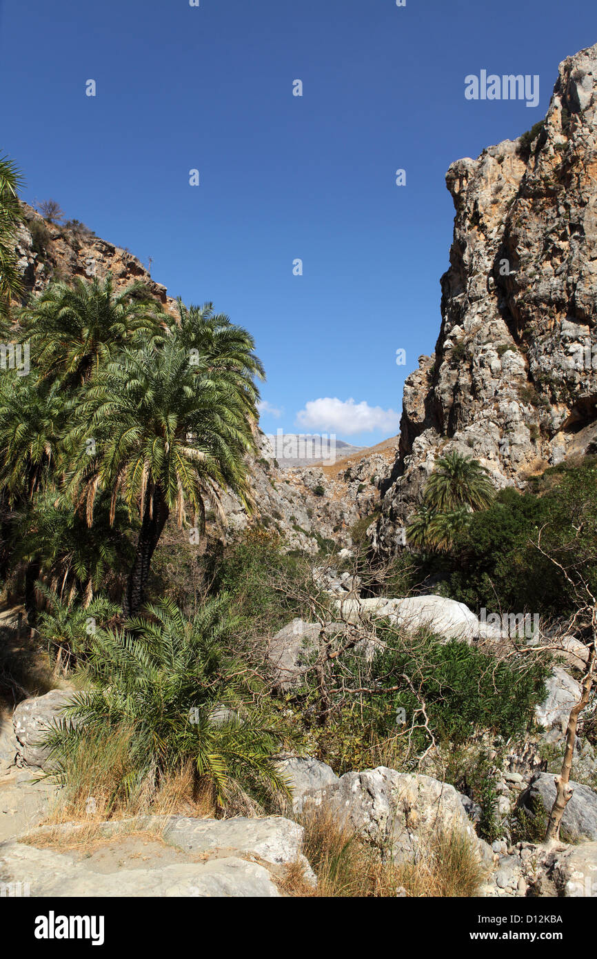 Preveli ou gorge de Kourtaliotiko en Crète, Grèce. Banque D'Images