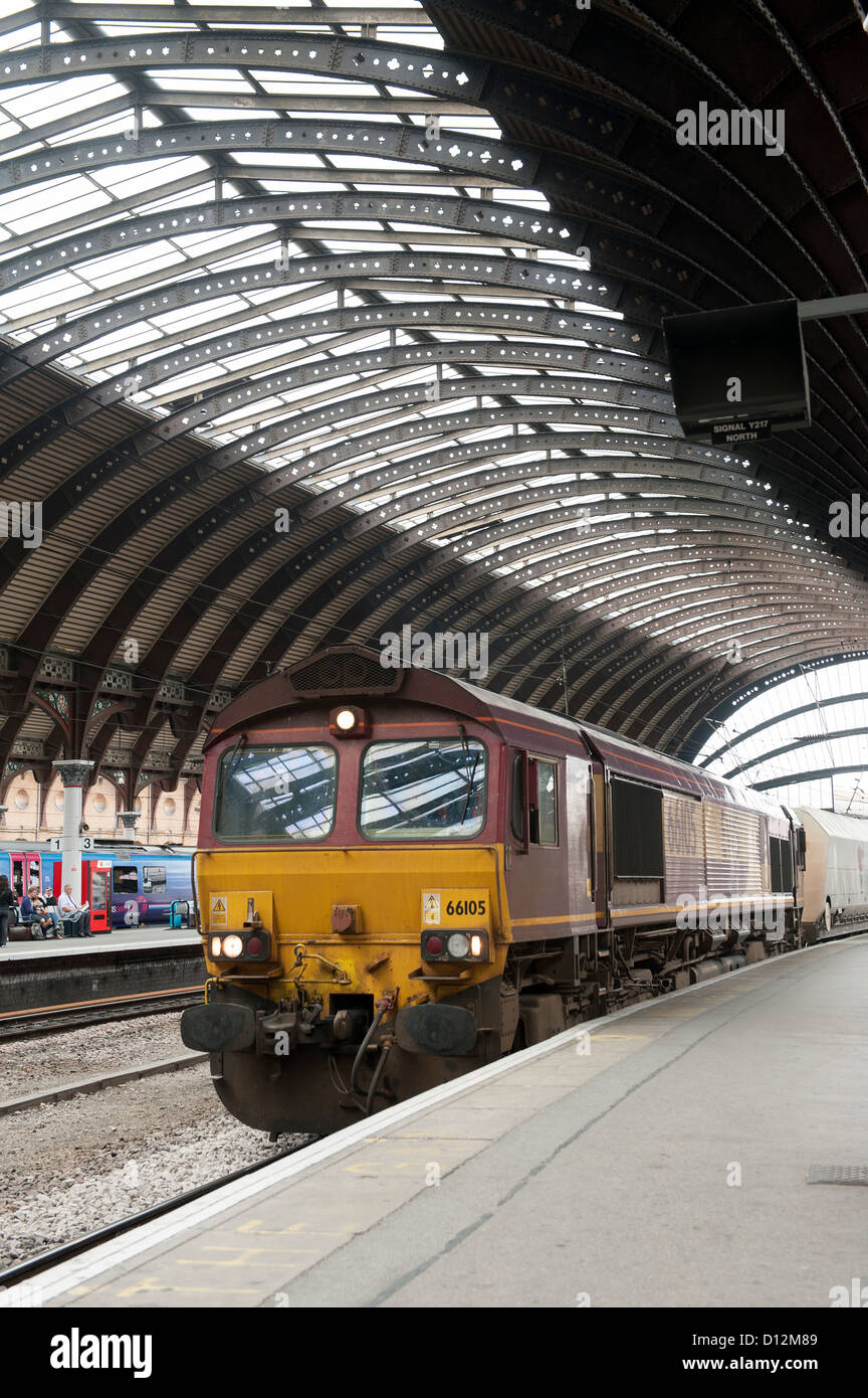 Class 66 locomotives fret dans l'EWS liery à la tête d'un train de marchandises en Yorkk Gare, Angleterre. Banque D'Images