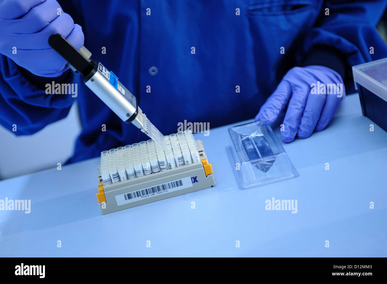 Chercheur scientifique à l'aide d'une pipette multi pour administrer les échantillons génétiques dans une même sortie échantillon dans un laboratoire scientifique. Banque D'Images