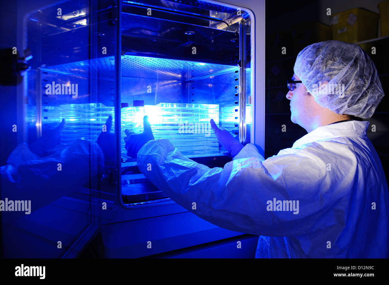 Young male scientist dépose plateaux de spécimen de l'échantillon contrôlé la température de l'incubateur fermé Banque D'Images