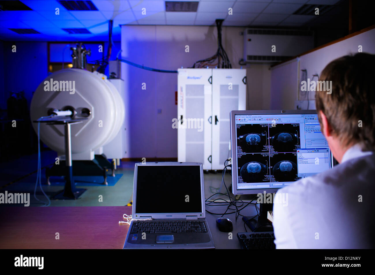 Technicien ou scientifique évalue l'image de l'ordinateur à l'écran moniteur à partir d'un petit orifice de l'imagerie par résonance magnétique (IRM) Banque D'Images