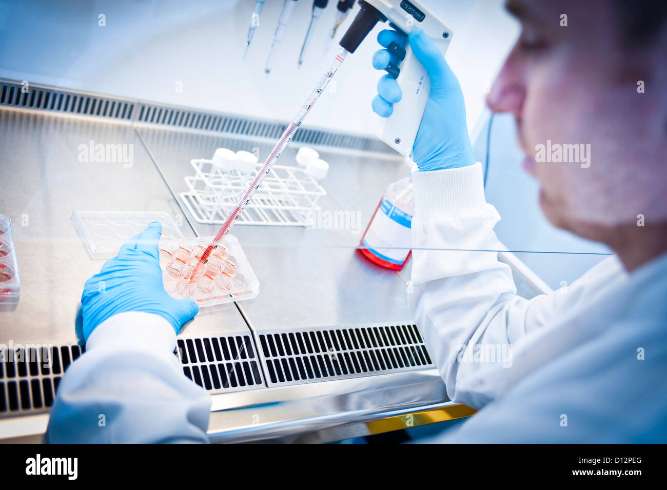 Male scientist assis à pipetage hotte de rouge dans les tubes à essai Banque D'Images
