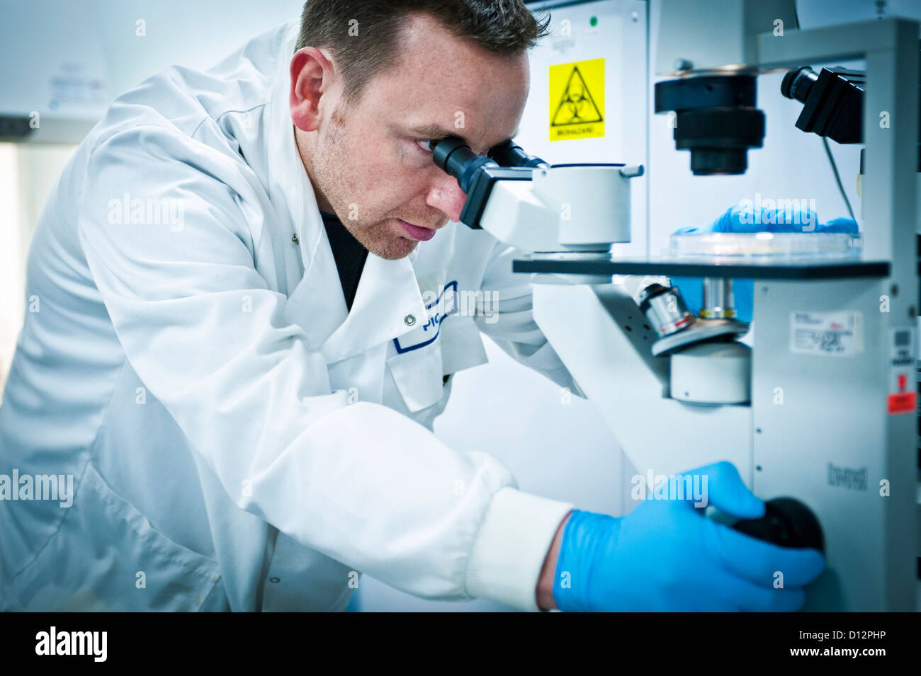 Homme scientifique ou technicien utilise un microscope dans un laboratoire de sciences. Banque D'Images