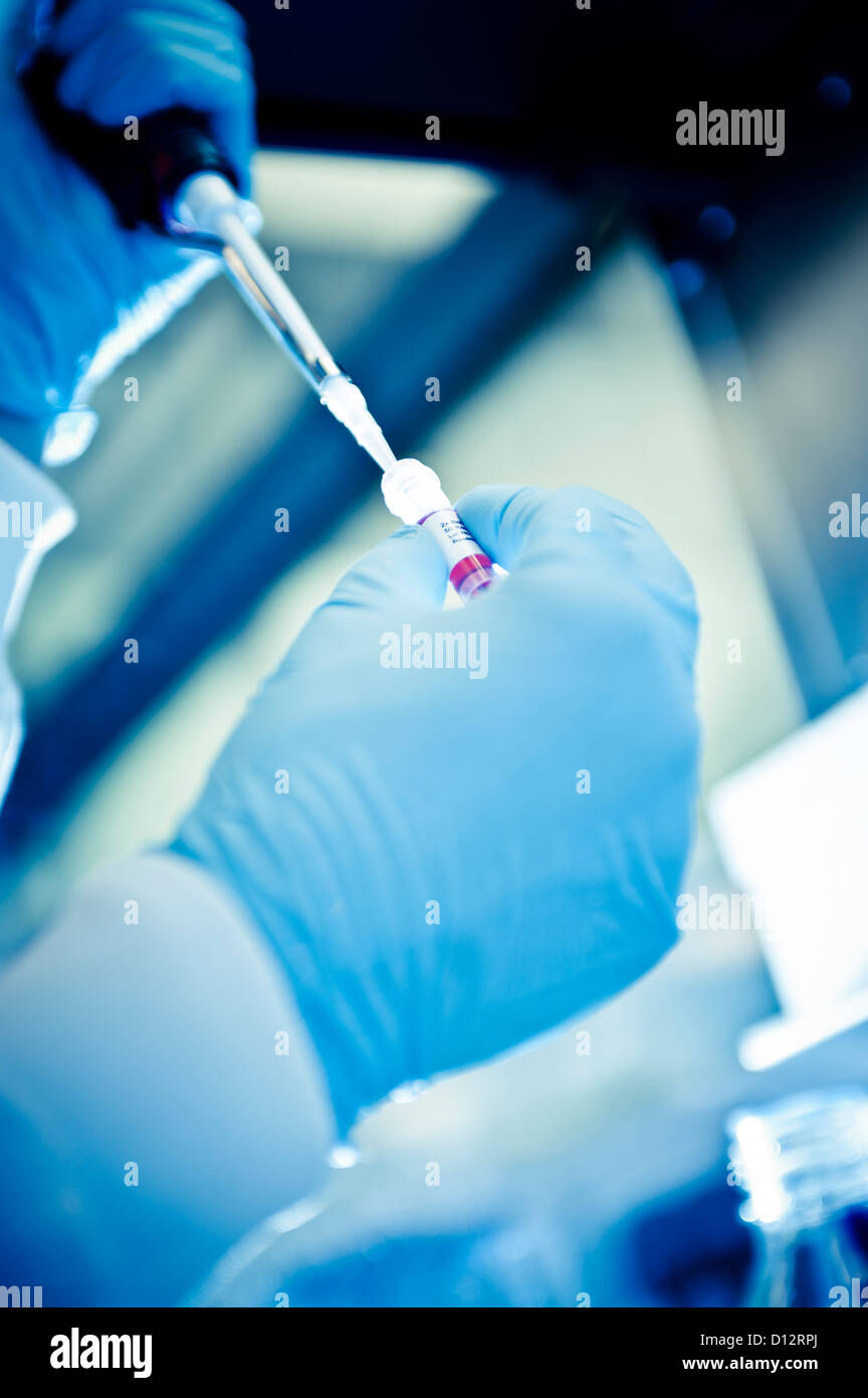 Technicien scientifique des chercheurs ou des échantillons biologiques de pipetage mains dans un laboratoire scientifique. Banque D'Images