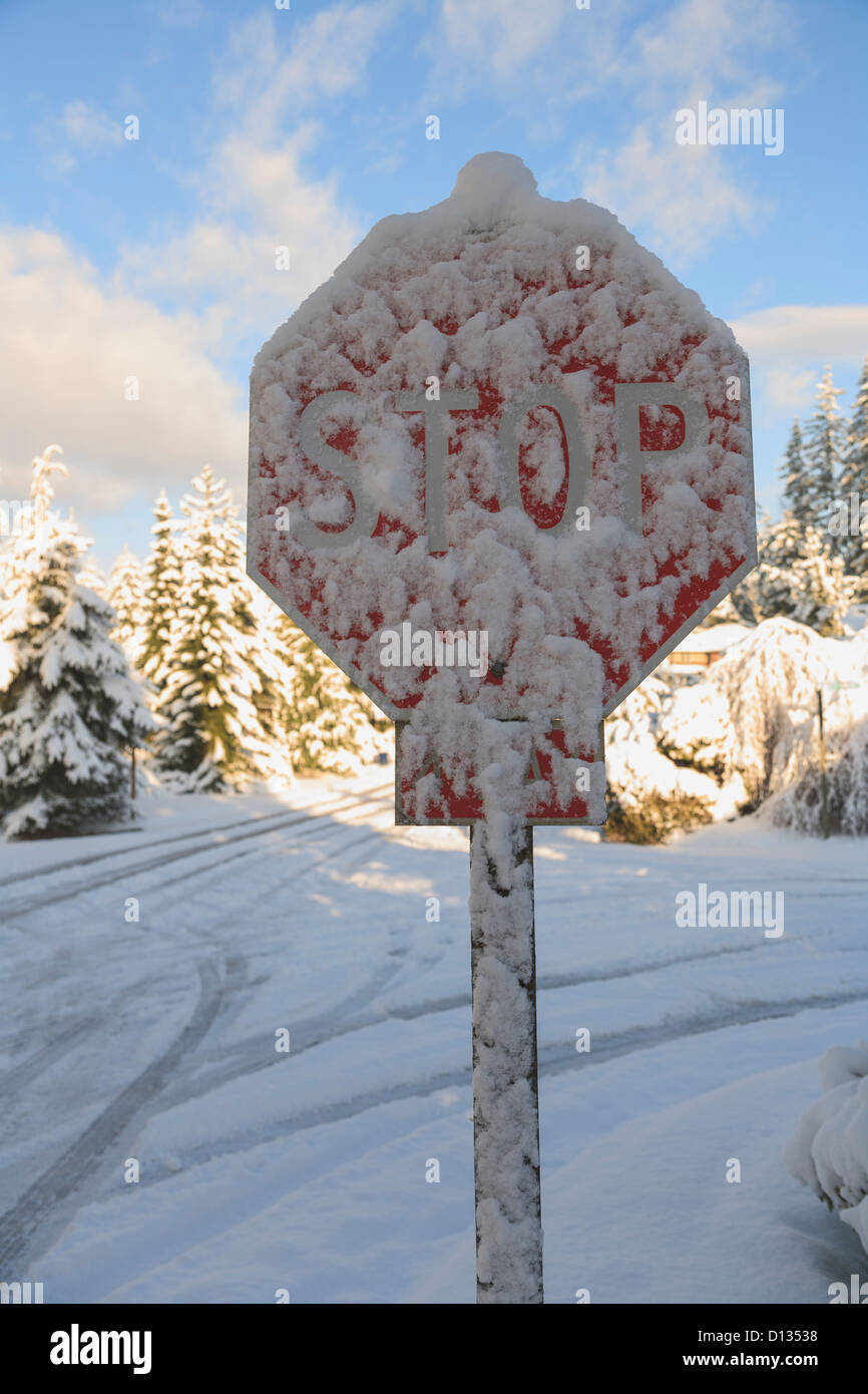 Un panneau d'arrêt couvertes de neige ; Mill Creek, Washington, United States of America Banque D'Images