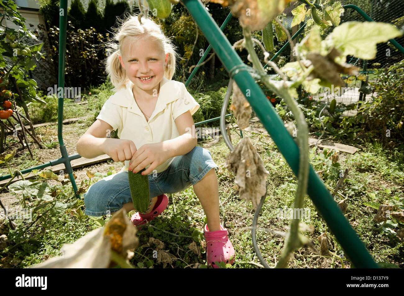 Germany, Bavaria, concombres dans vegetebale collecte fille jardin Banque D'Images