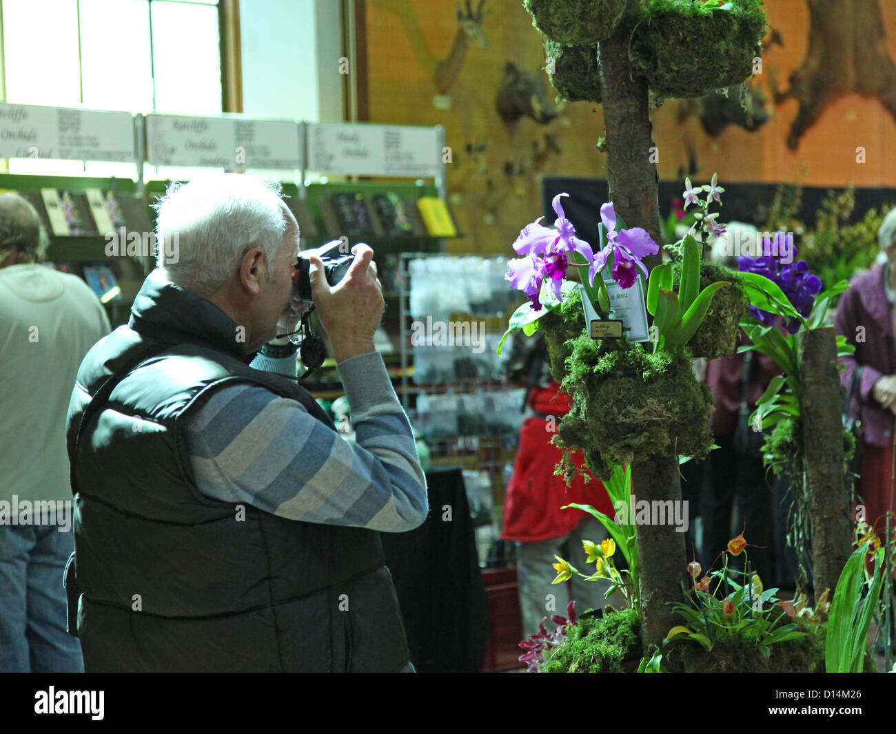 Un homme de prendre une photo d'une orchidée affichage à une orchidée show à Cheshire England UK Tatton Park Banque D'Images