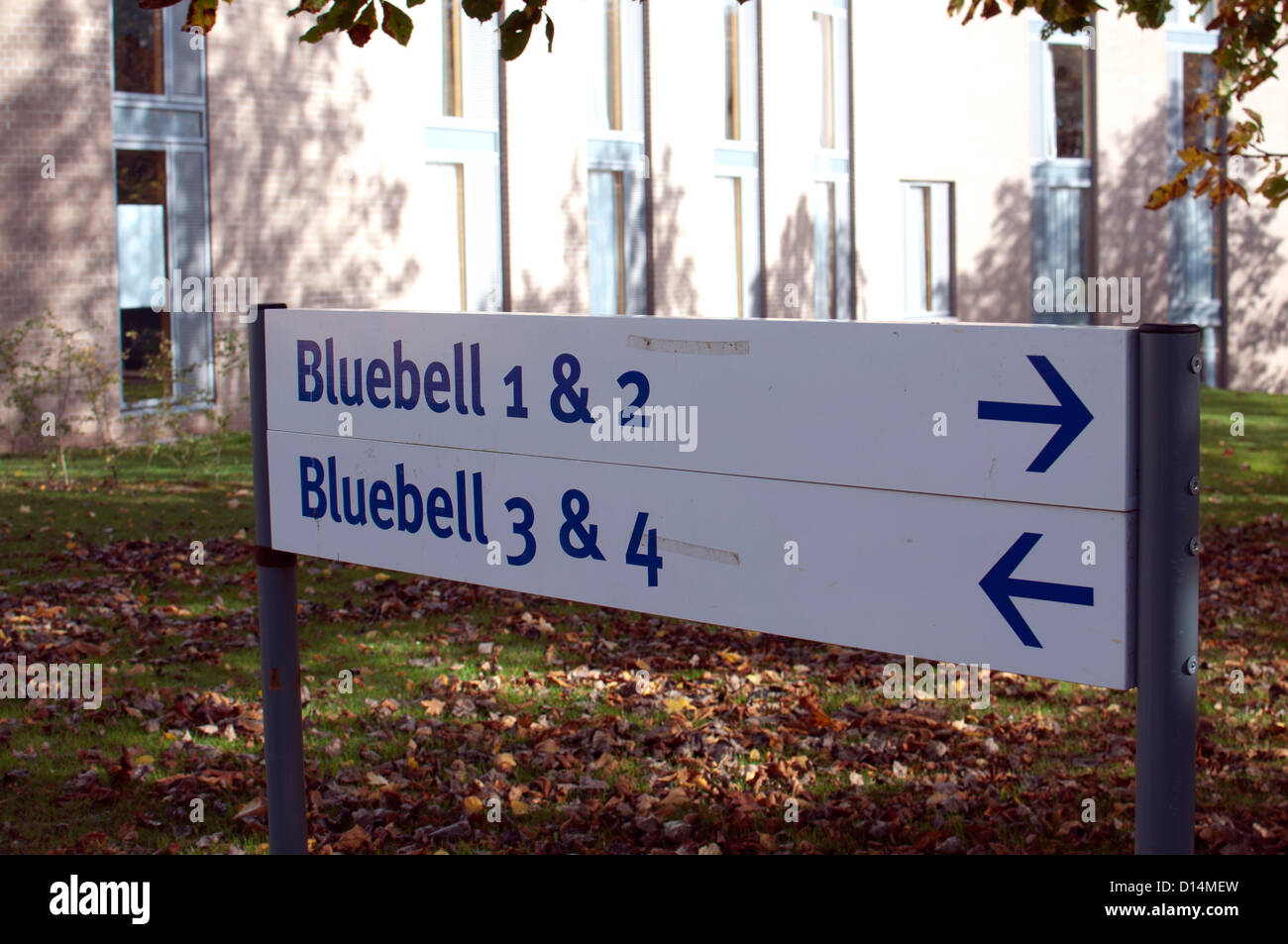 Bluebell hotel sign, Université de Warwick, Royaume-Uni Banque D'Images