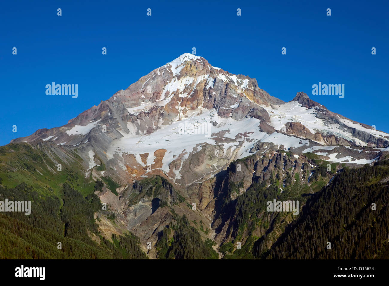 OREGON - Vue du Mont Hood de Mont Chauve dans la Mount Hood Wilderness article de la Mount Hood National Forest. Banque D'Images