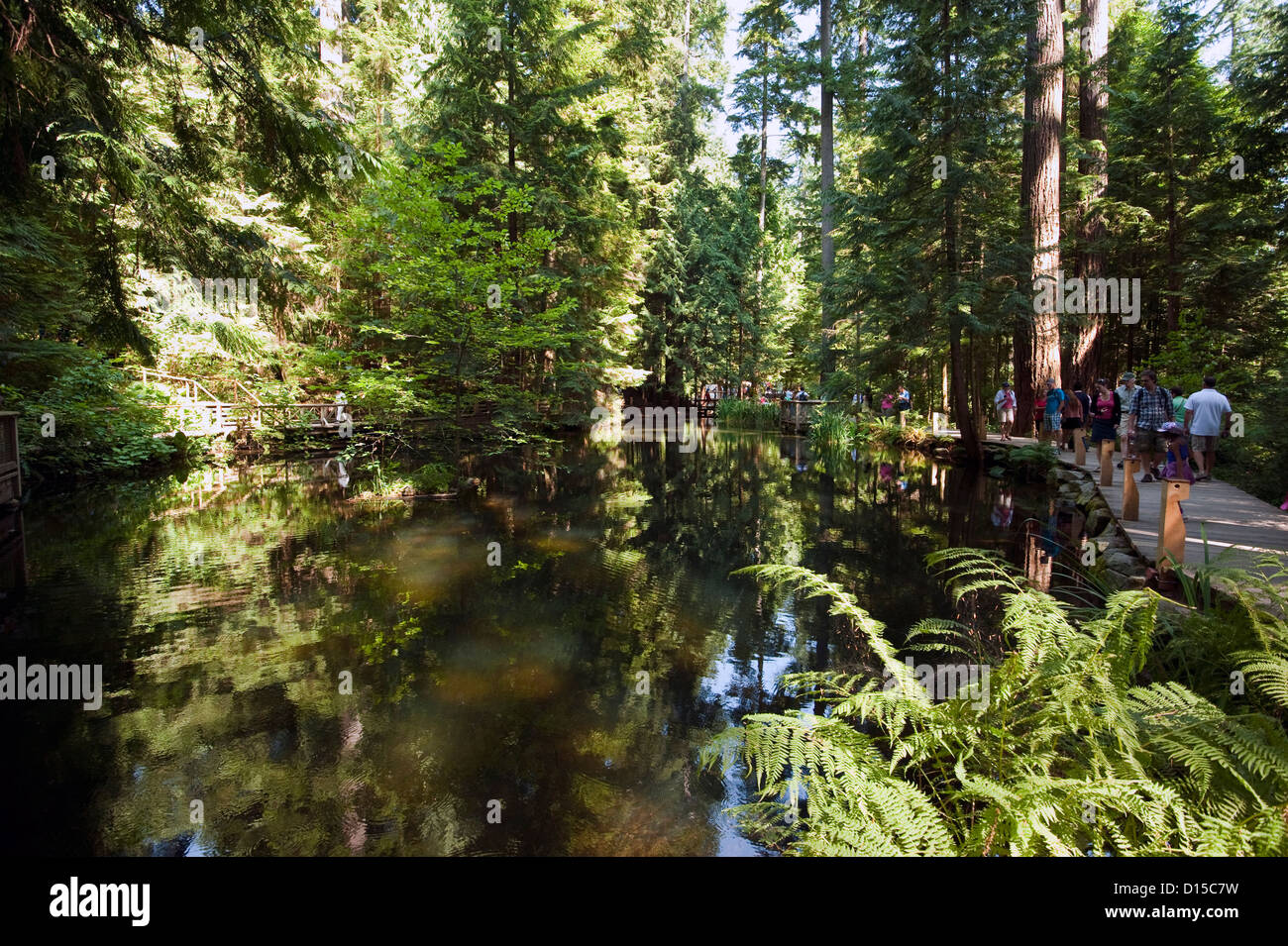 Parc Capilano à Vancouver Nord, Colombie-Britannique, Canada Banque D'Images