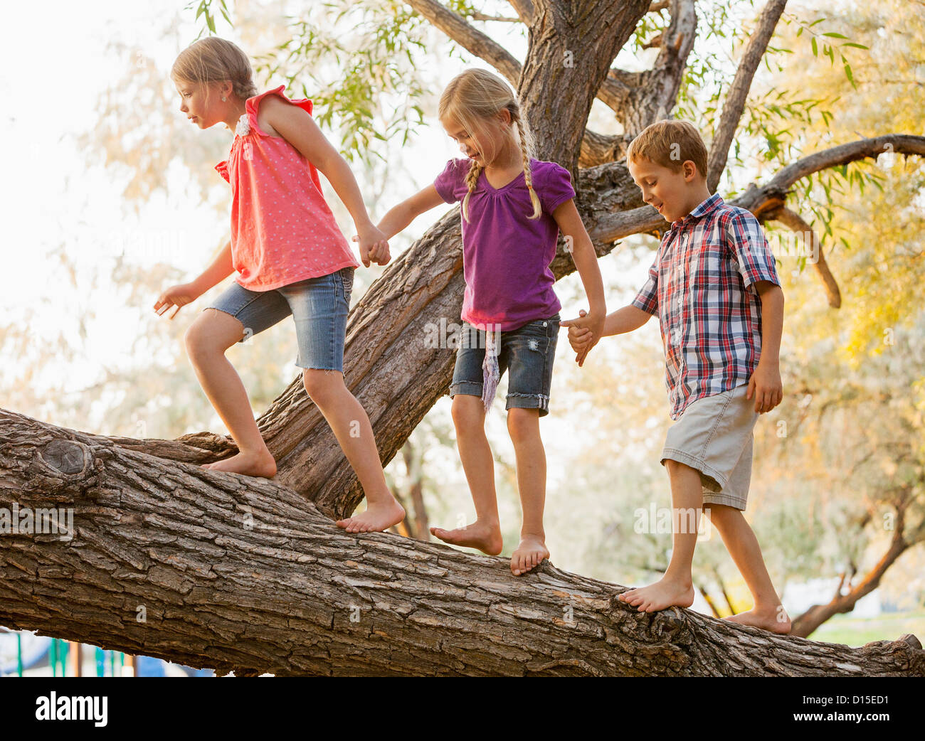 USA, Utah, Léhi, trois enfants (4-5, 6-7) en équilibre sur branche d'arbre et marcher ensemble main dans la main Banque D'Images