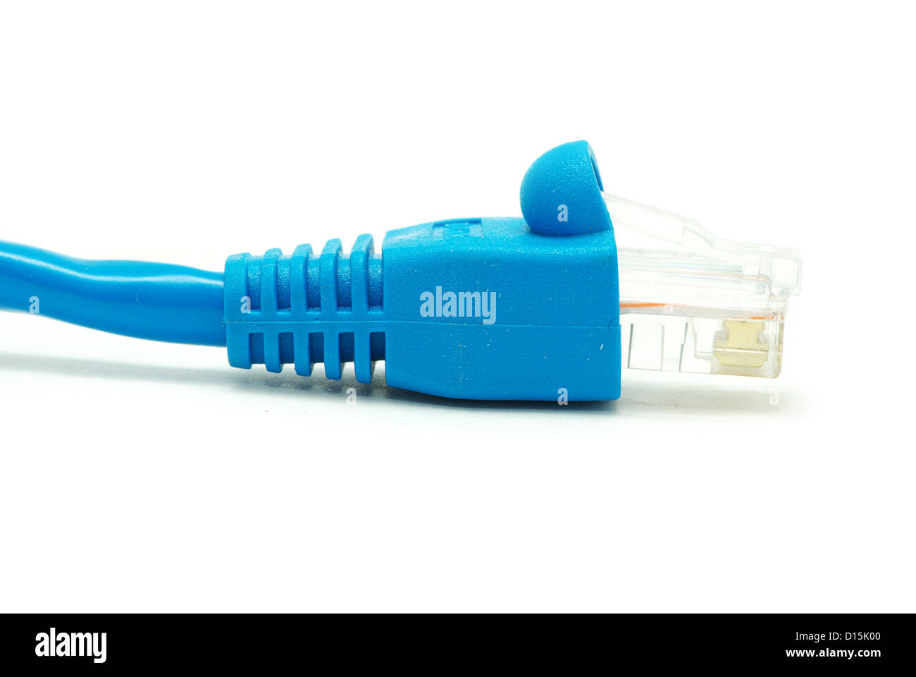 Plan Macro sur le bouchon de la connexion réseau Banque D'Images