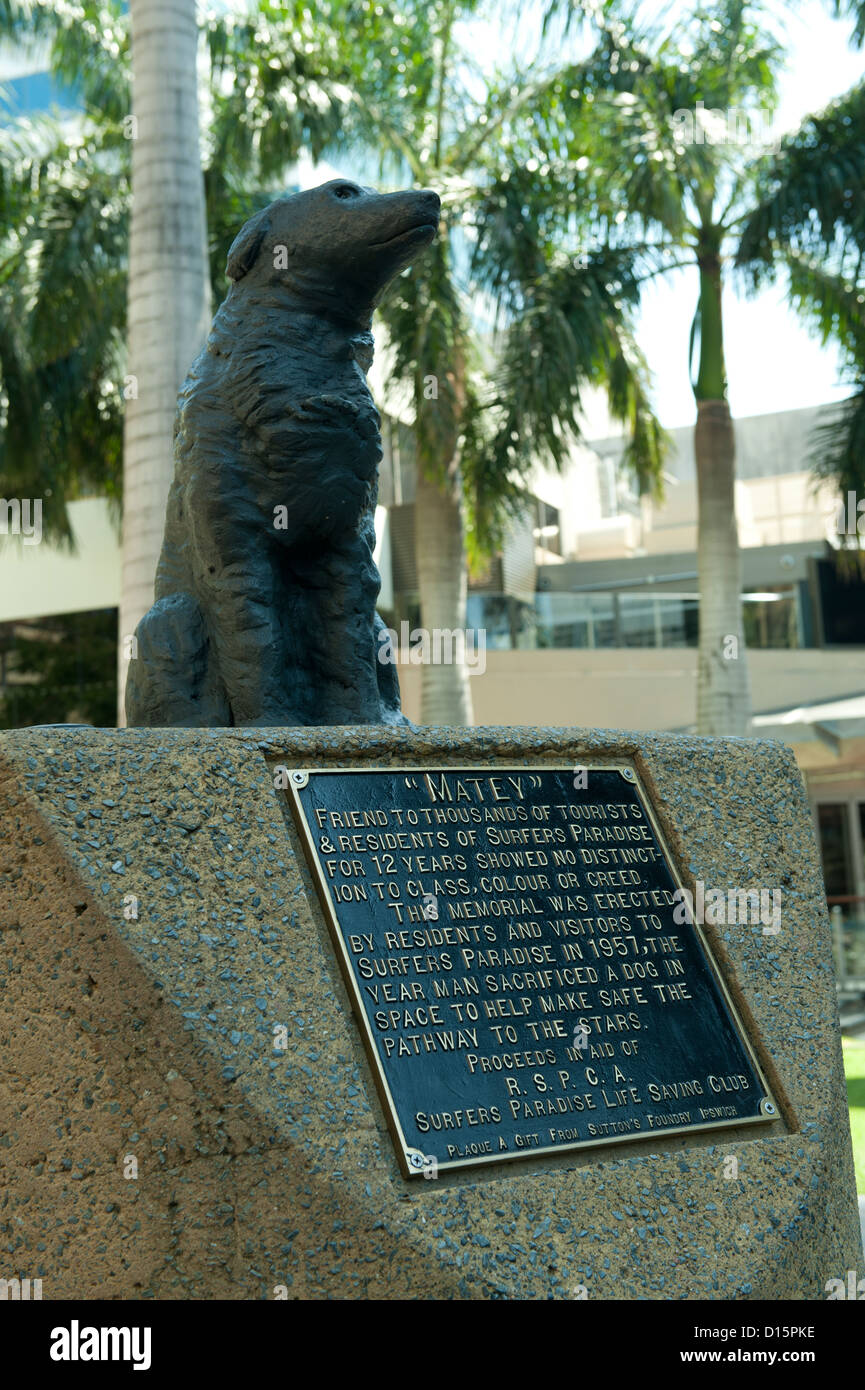 Mémorial de bronze érigé en 1957 en mémoire de 'Matey' un chien sans domicile qui vivaient à Surfers Paradise pour 12 ans Banque D'Images