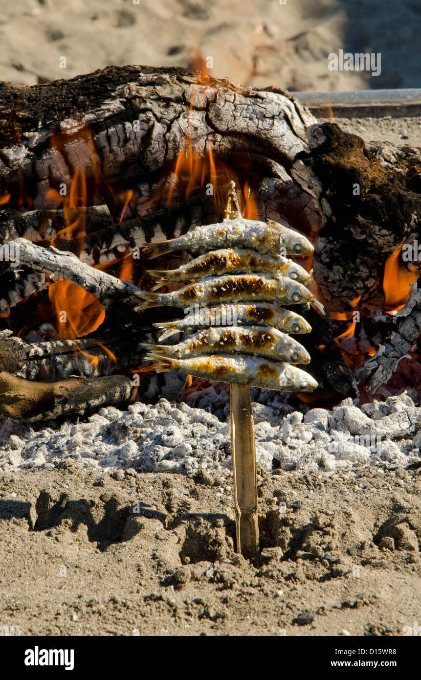 Sardines grillées au feu de bois barbecue ouvert, dans le sud de l'Espagne sur la plage. Banque D'Images