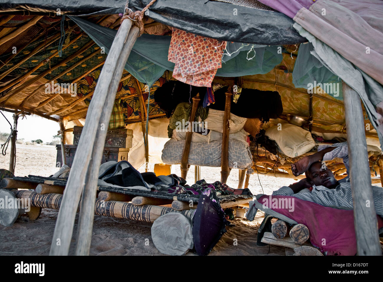 Touareg moderne repose à l'intérieur d'une tente touareg traditionnelle  près d'Ingal, Niger Photo Stock - Alamy