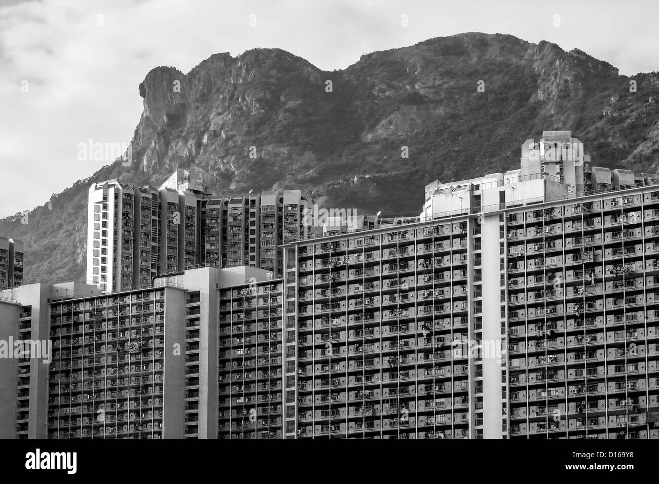 Logement de Hong Kong sous le rocher du Lion du paysage Banque D'Images