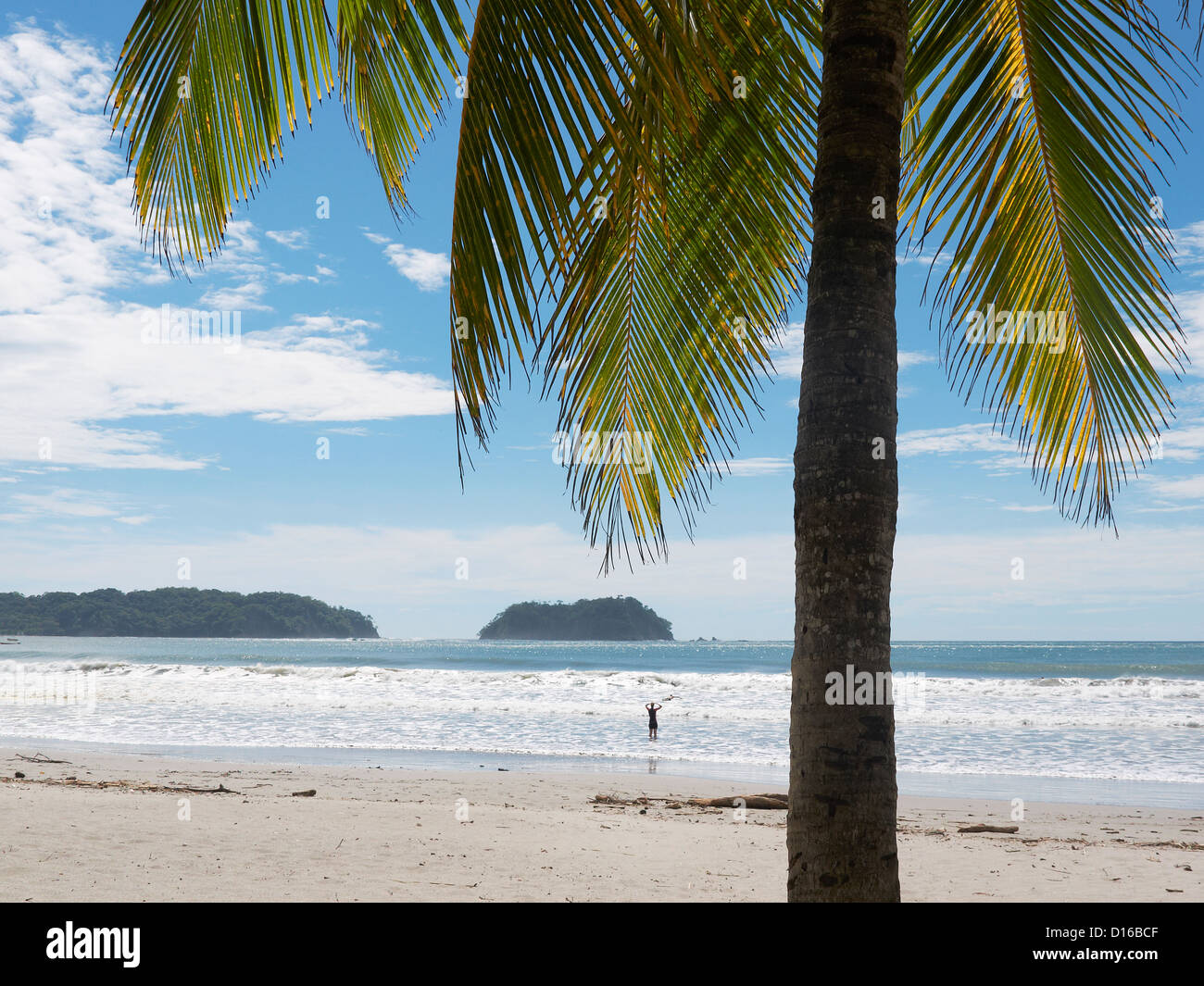 Palmiers sur la plage de Playa Samara, Péninsule de Nicoya, Costa Rica, Amérique Centrale Banque D'Images