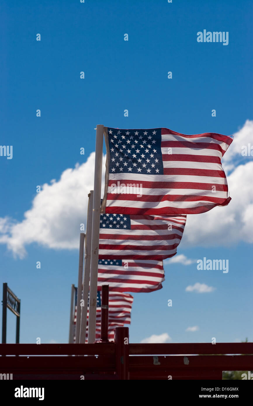 Drapeaux américains voler dans une rangée contre un ciel bleu. Banque D'Images