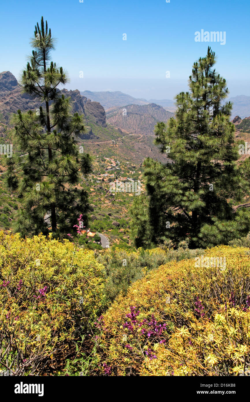 Gran Canaria paysage Roque Nublo Banque D'Images