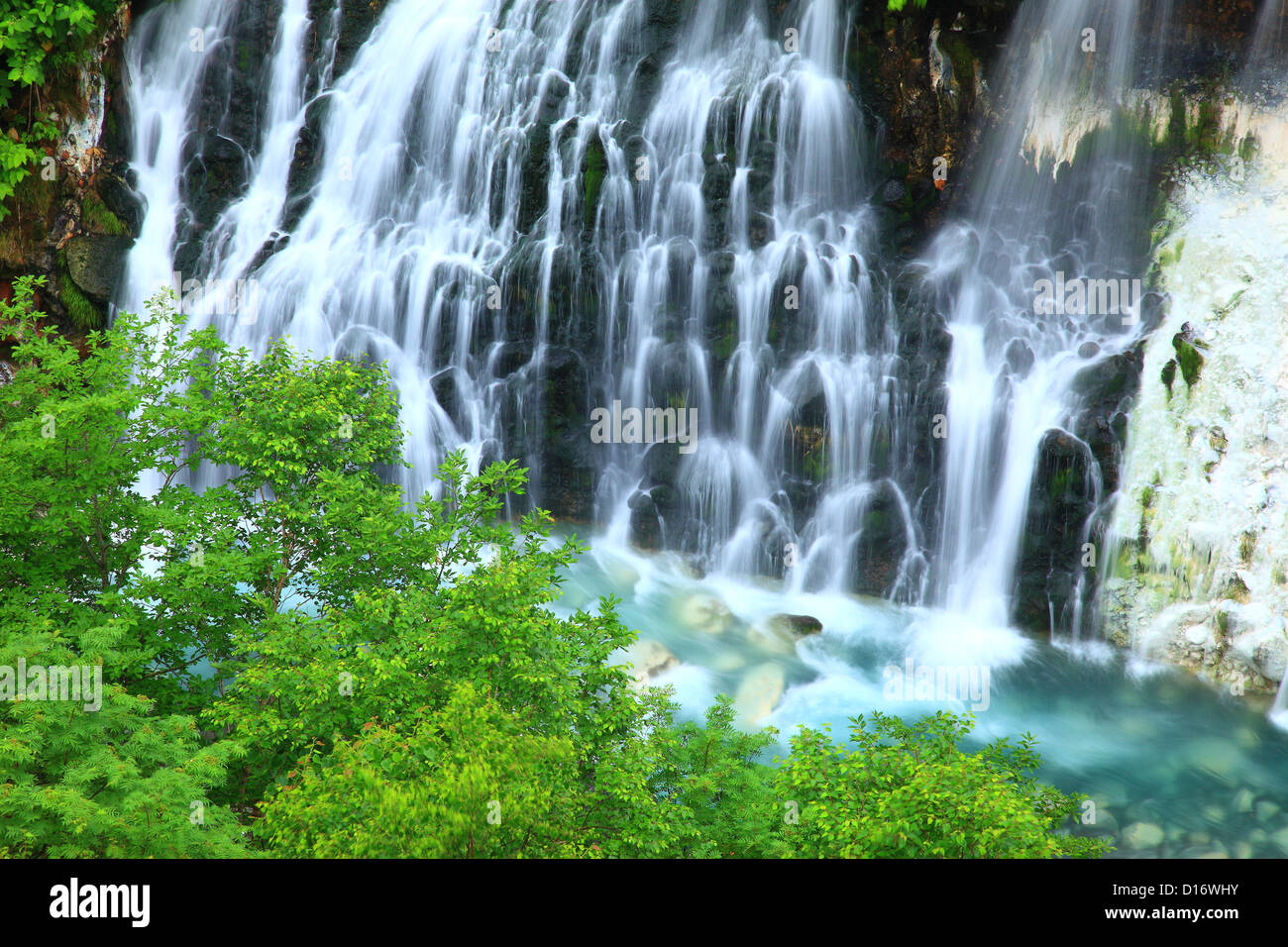 Shirahige Cascade et feuilles vertes à Biei, Hokkaido Banque D'Images