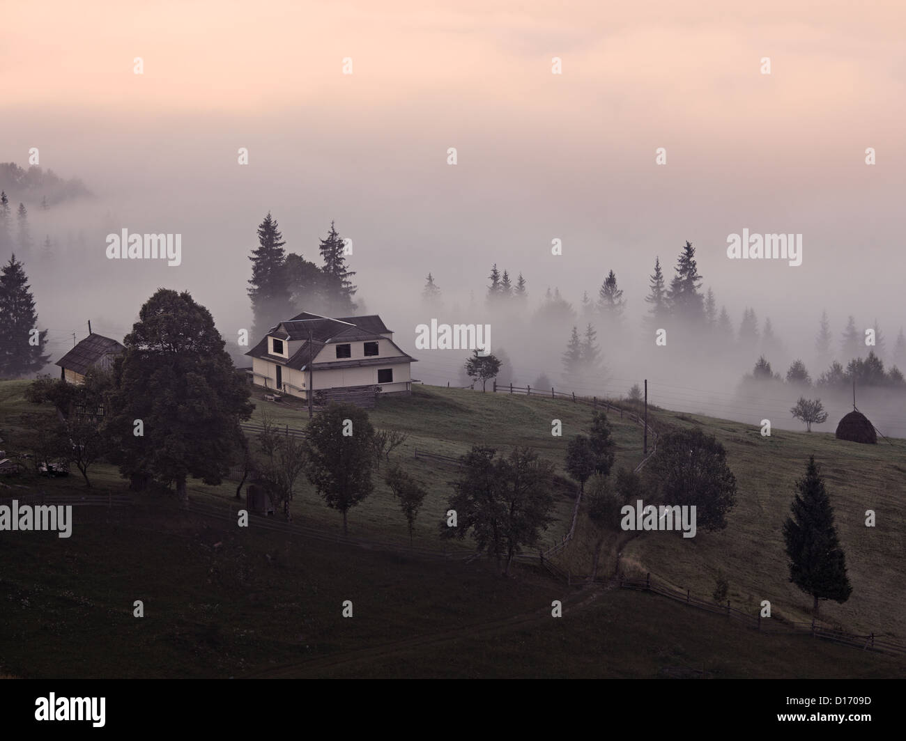 Paysage brumeux des montagnes des Carpates, l'Ukraine Banque D'Images