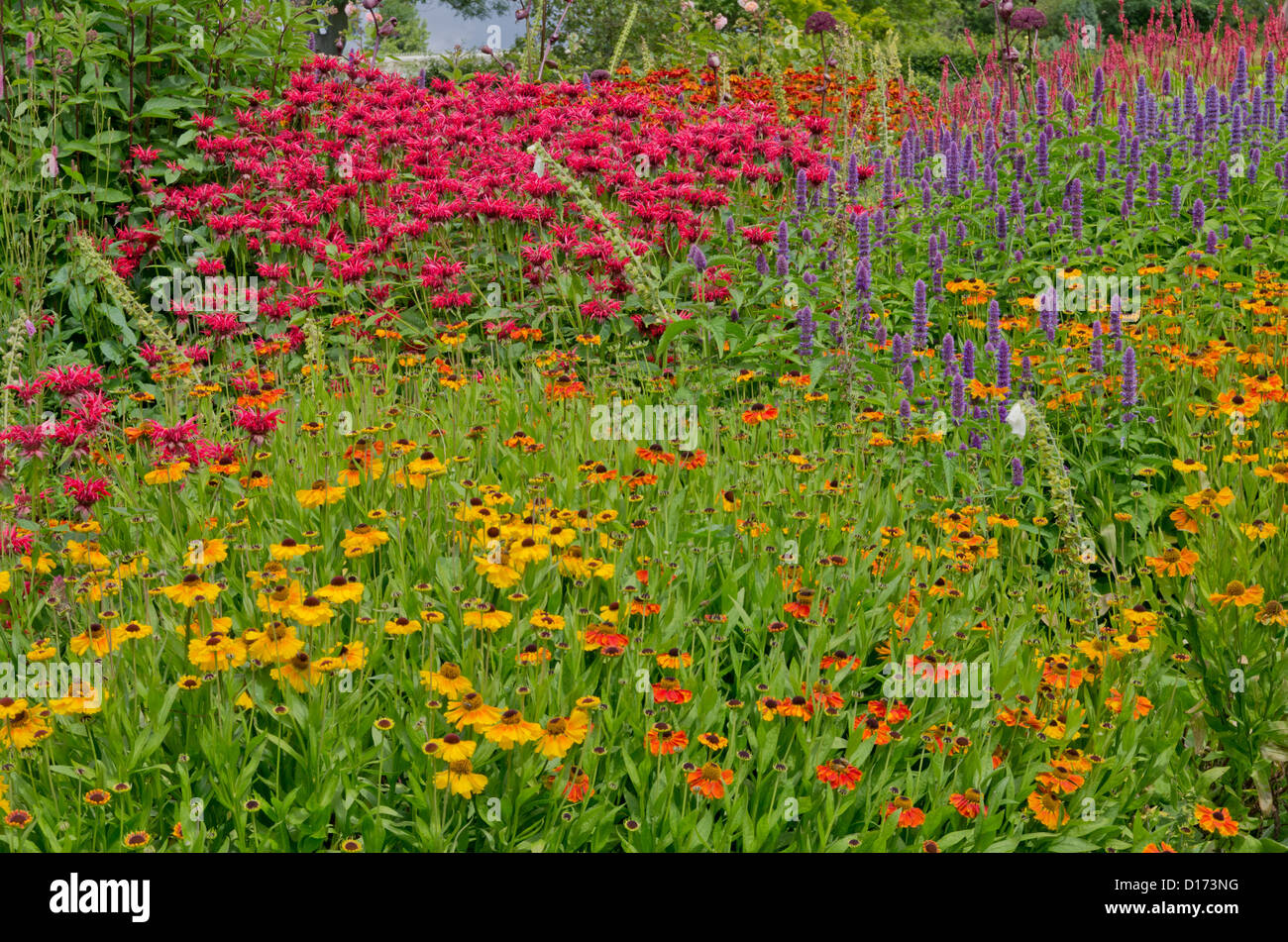 Harlow Carr RHS Flower bed Banque D'Images