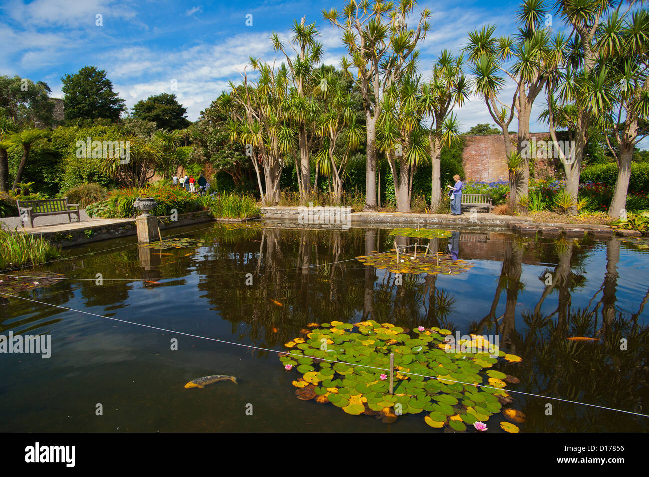 Logan Botanic Gardens, de Rhins of Galloway, Scotland, UK Banque D'Images