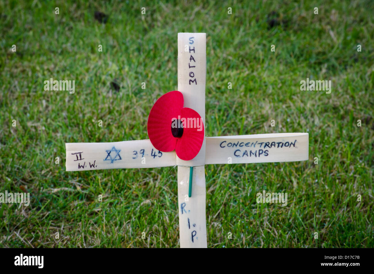 Journée du souvenir des victimes du camp de concentration avec un coquelicot rouge sur un cresson en bois Banque D'Images