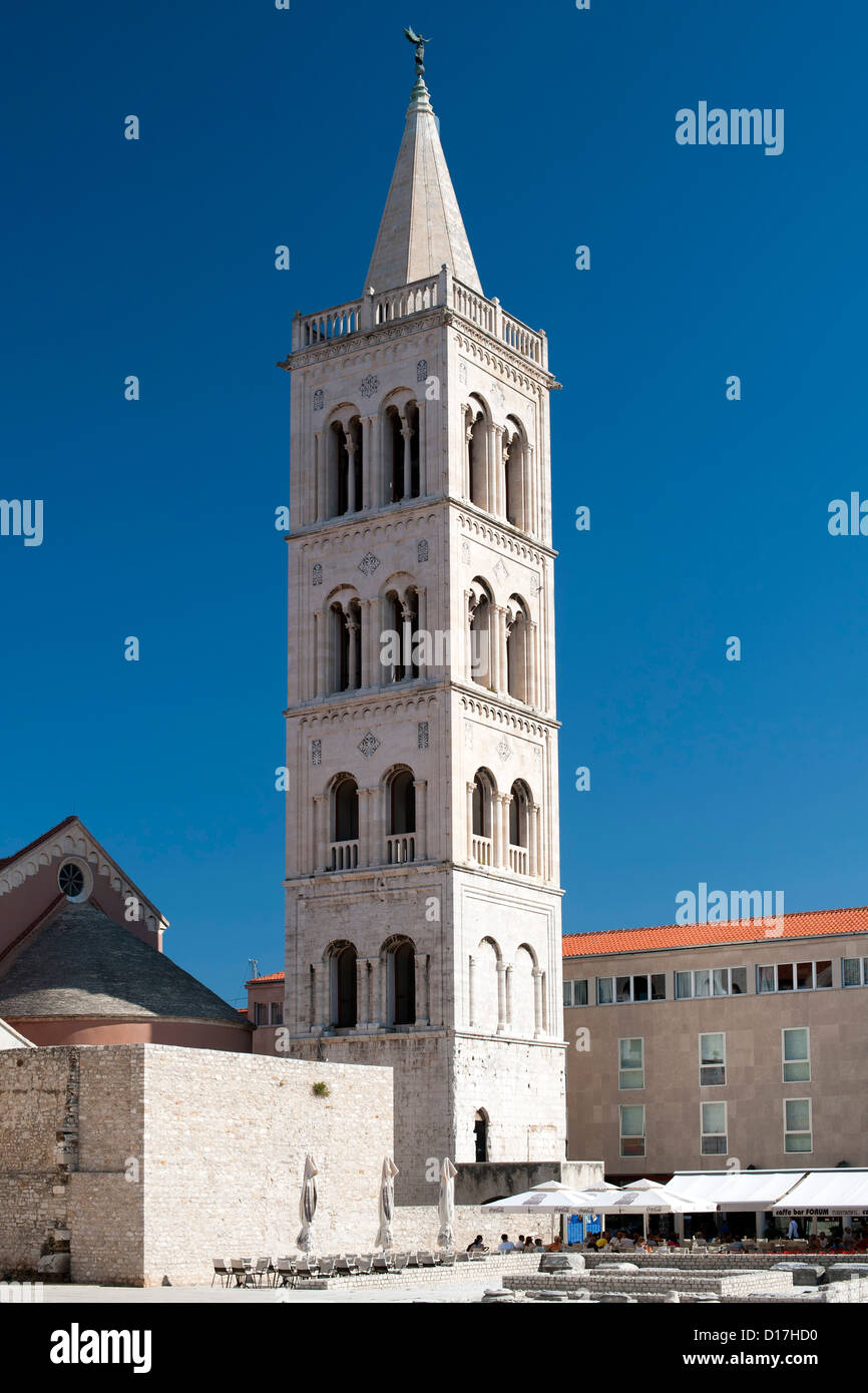 Le clocher de la cathédrale de Saint Anastasia à Zadar sur la côte Adriatique de Croatie. Banque D'Images