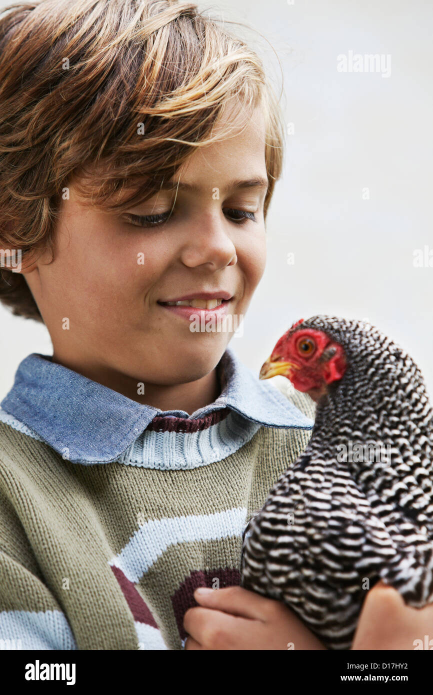 Close up of boy holding chicken Banque D'Images