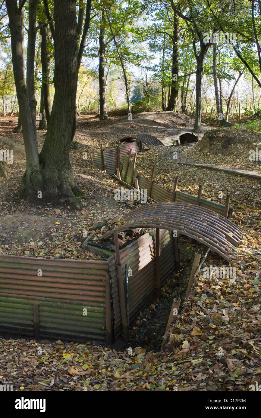Des tranchées de la PREMIÈRE GUERRE MONDIALE à partir de la Première Guerre mondiale à la première ligne d'un Bois du Sanctuaire Museum Hill 62 à Zillebeke, Flandre occidentale, Belgique Banque D'Images