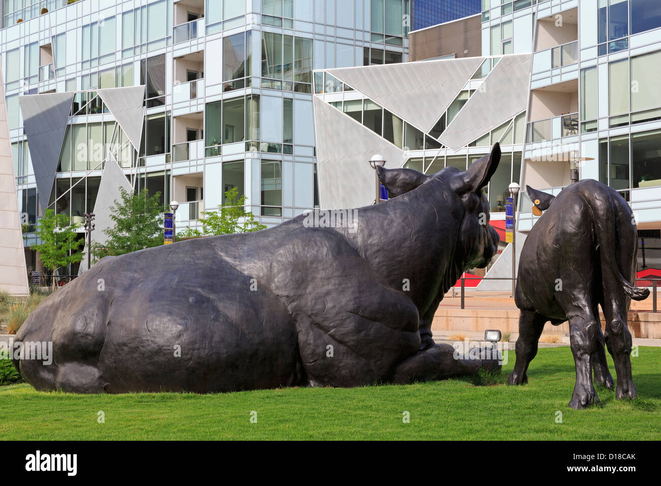 Steer,Sculpture,Musée d'Art de Denver Colorado,,USA Banque D'Images