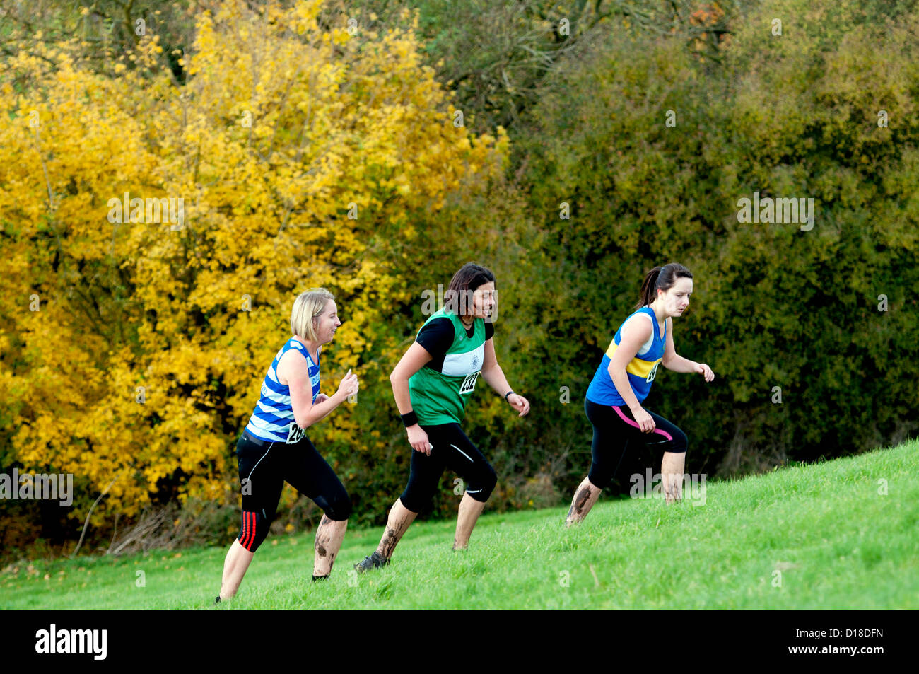 Les femmes en marche en montée dans une course de cross-country Banque D'Images