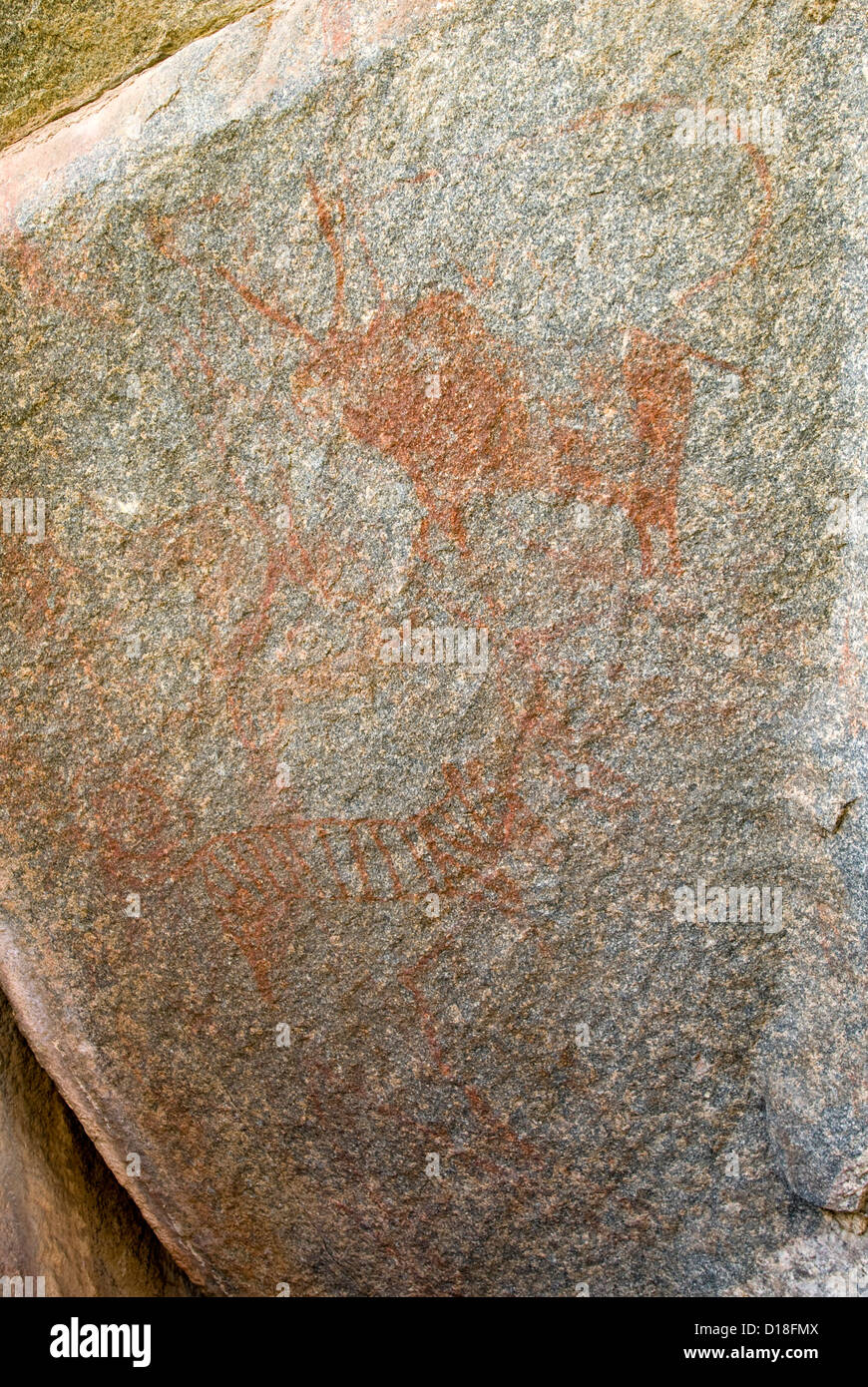 Peintures rupestres préhistoriques Hampi, Karnataka, Inde Banque D'Images