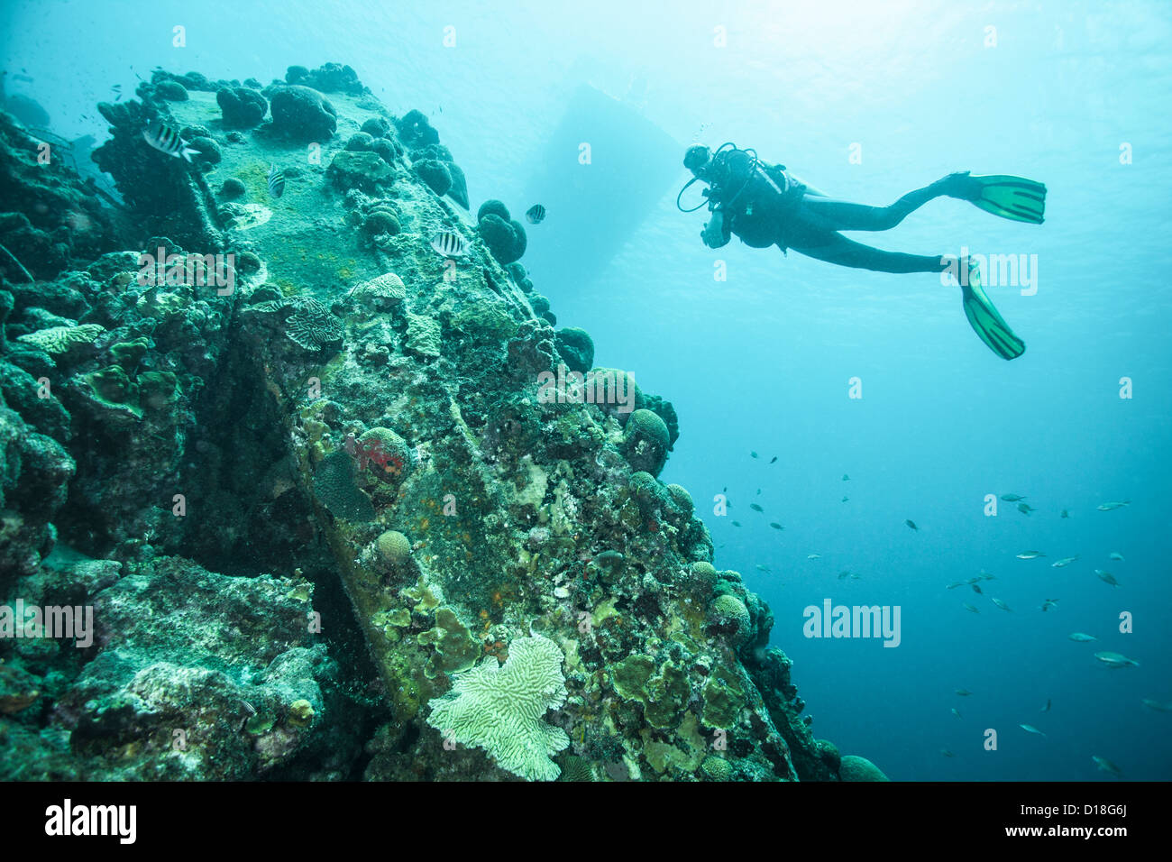 L'examen de plongeur underwater reef Banque D'Images