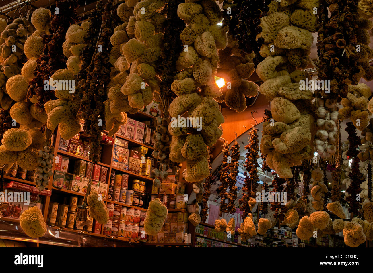 Éponges de mer accroché sur l'affichage pour la vente au Grand Bazar à Istanbul, Turquie Banque D'Images