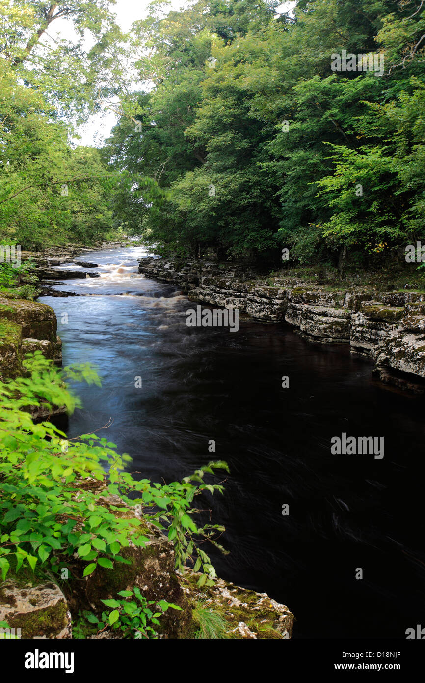 Image panoramique d'été, la Rivière Tees, Upper Teesdale, comté de Durham, Angleterre, Grande-Bretagne, Royaume-Uni Banque D'Images