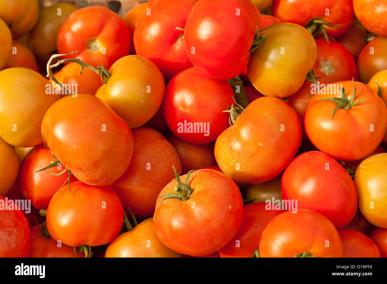 Arrière-plan de tomates fraîches pour la vente Banque D'Images