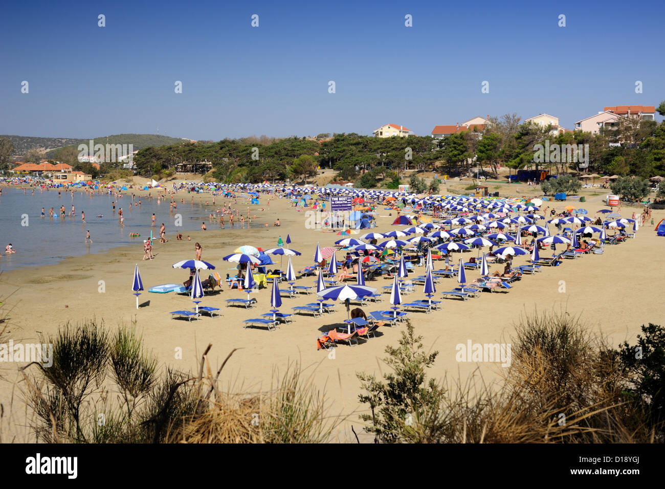 Croatie, Dalmatie, Îles Kvarner, Île de Rab, Lopar, plage paradisiaque Banque D'Images