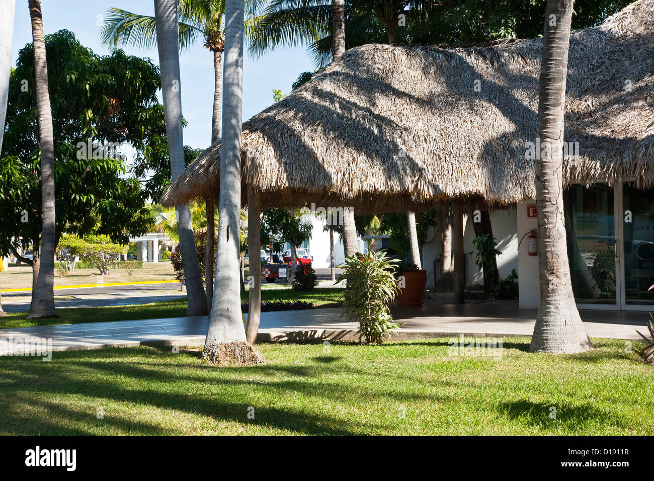 Palmiers dans un cadre tropical luxuriant ombre style palapa toit de chaume de palmier d'arrivées à l'aéroport de Ciudad del Carmen Banque D'Images