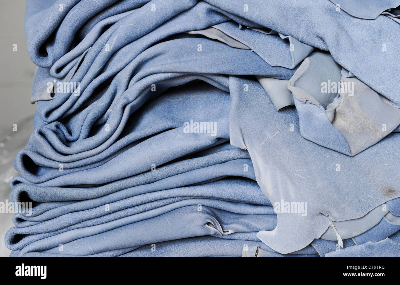 L'URUGUAY San Jose, tannery Bader la production de cuir peau de vache pour des sièges de voiture de BMW et autres marques de voiture, Wet Blue fait référence à humide en cuir tanné au chrome. La coloration bleuâtre est produit par l'agent de tannage chrome Le chrome III qui est l'oxyde bleu et est contenue dans le cuir après tannage Banque D'Images