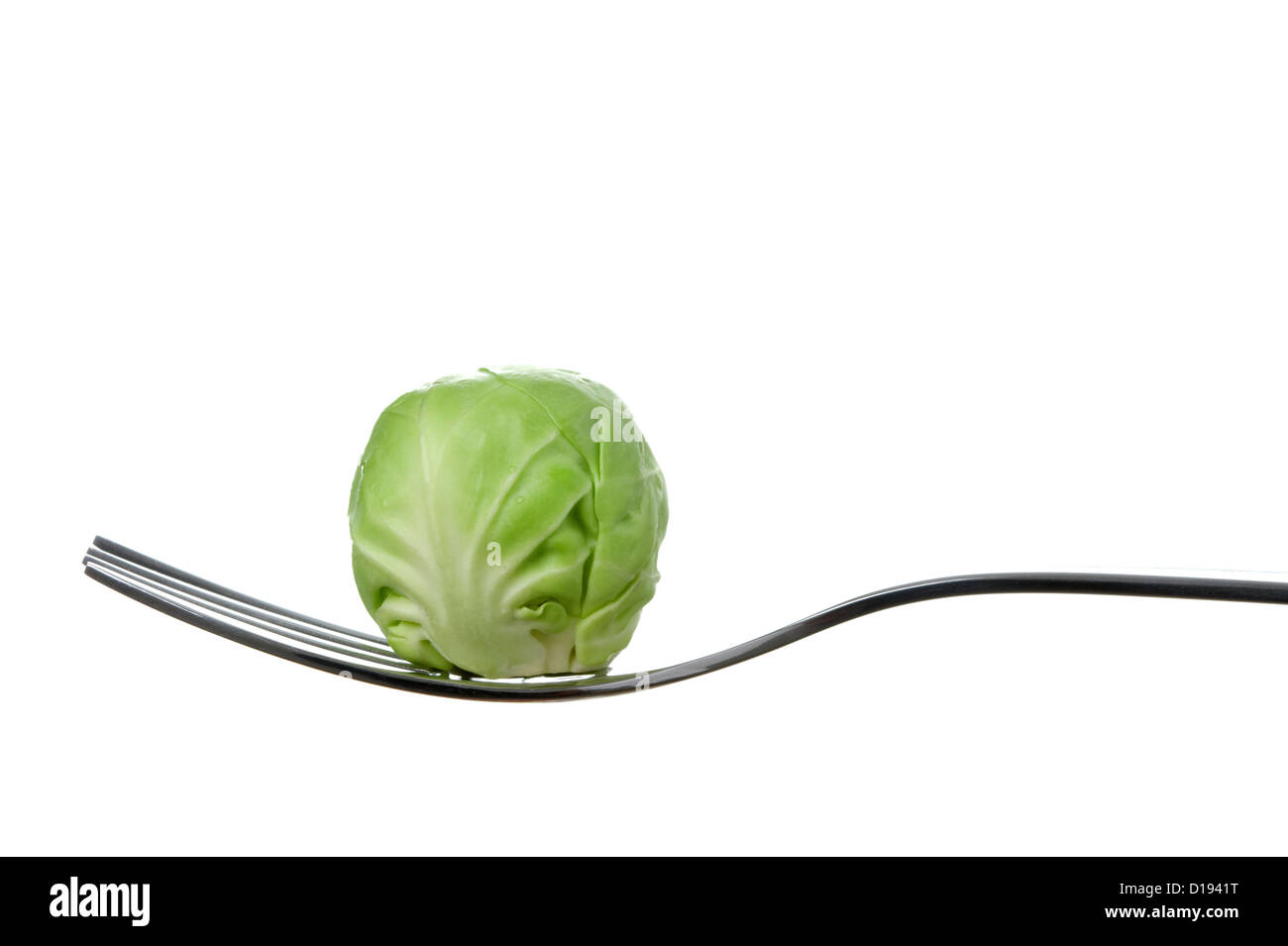 Un seul des choux de Bruxelles sur une fourchette sur un fond blanc. Banque D'Images