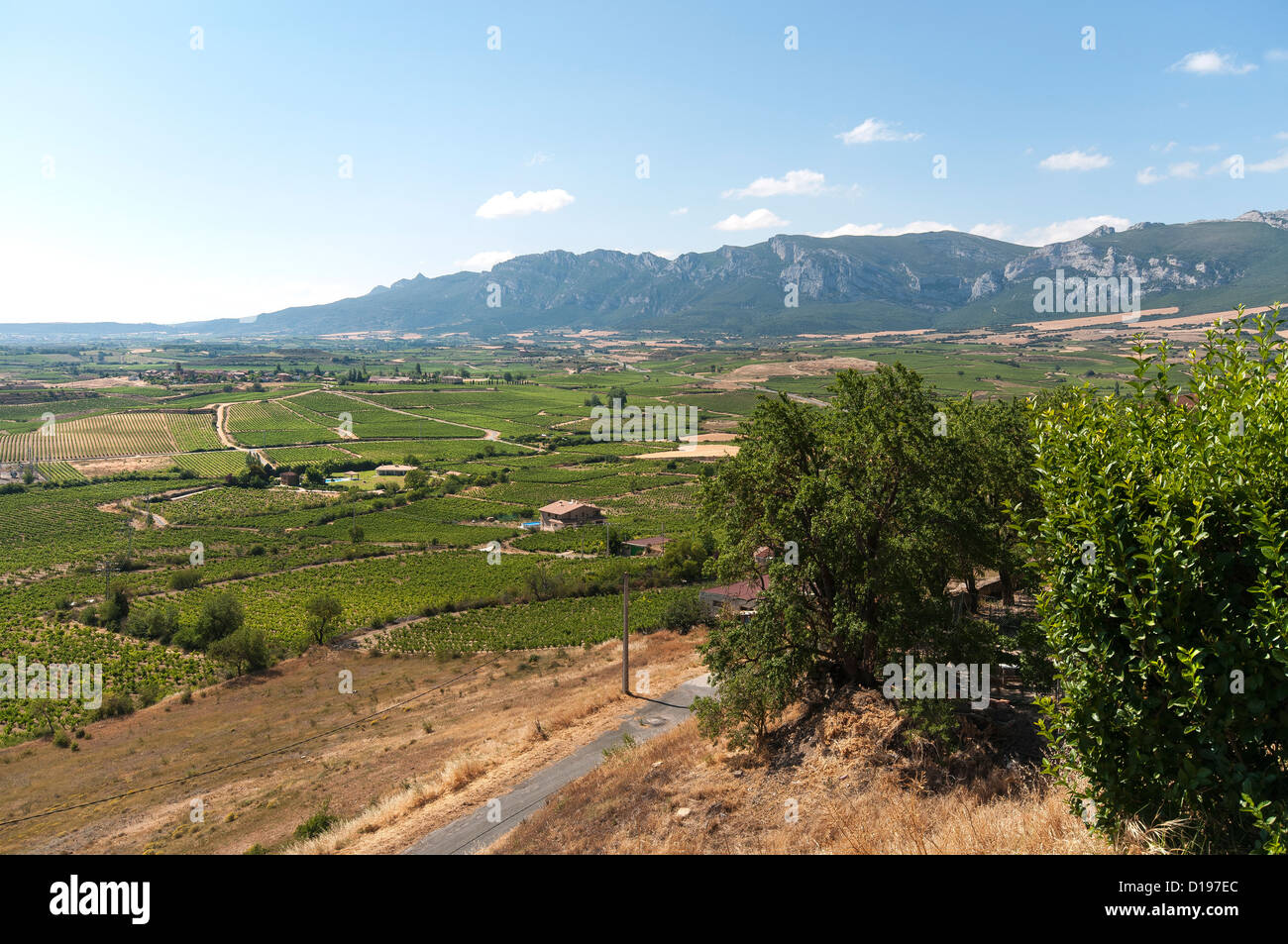 Vue sur le vignoble de la rioja en dessous de la Cantabrie de montagnes (Sierra de Cantabria) de Laguardia en Alava Espagne Banque D'Images