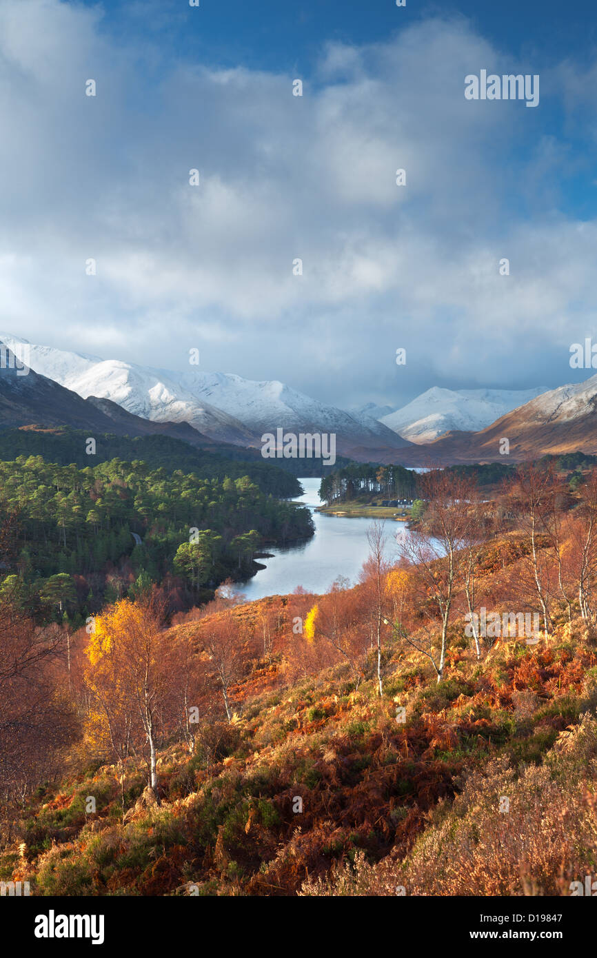 Glen Affric en automne. Banque D'Images