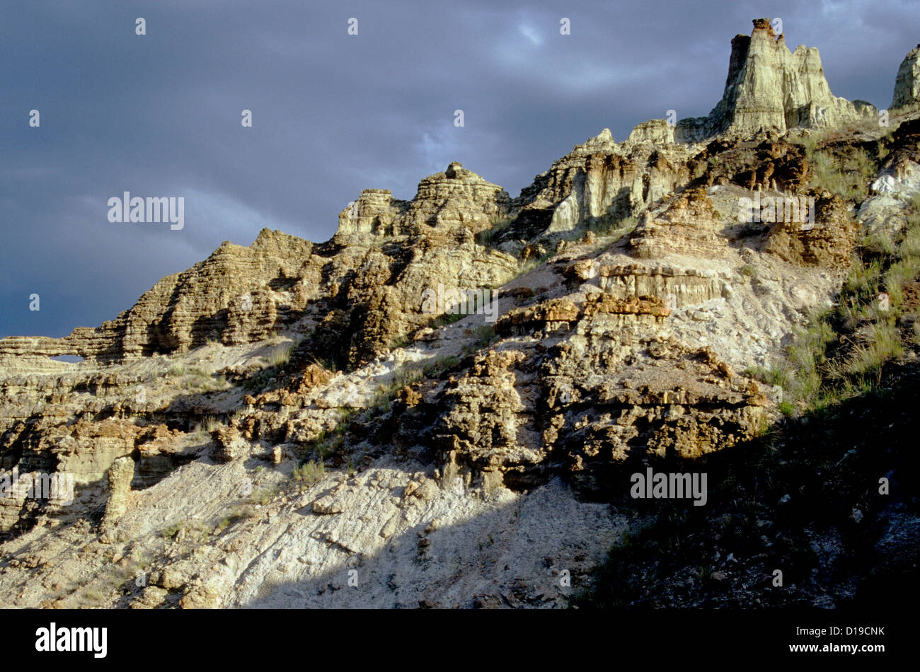 La formation de cendres volcaniques rhyolitiques dans bassin craie dans le sud-est de l'Oregon Banque D'Images