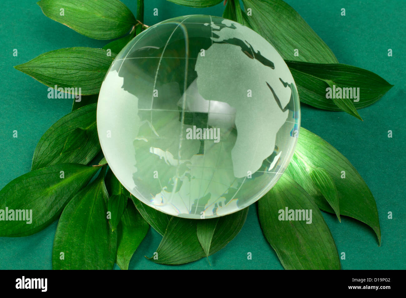 Globe en verre sur feuille verte Banque D'Images
