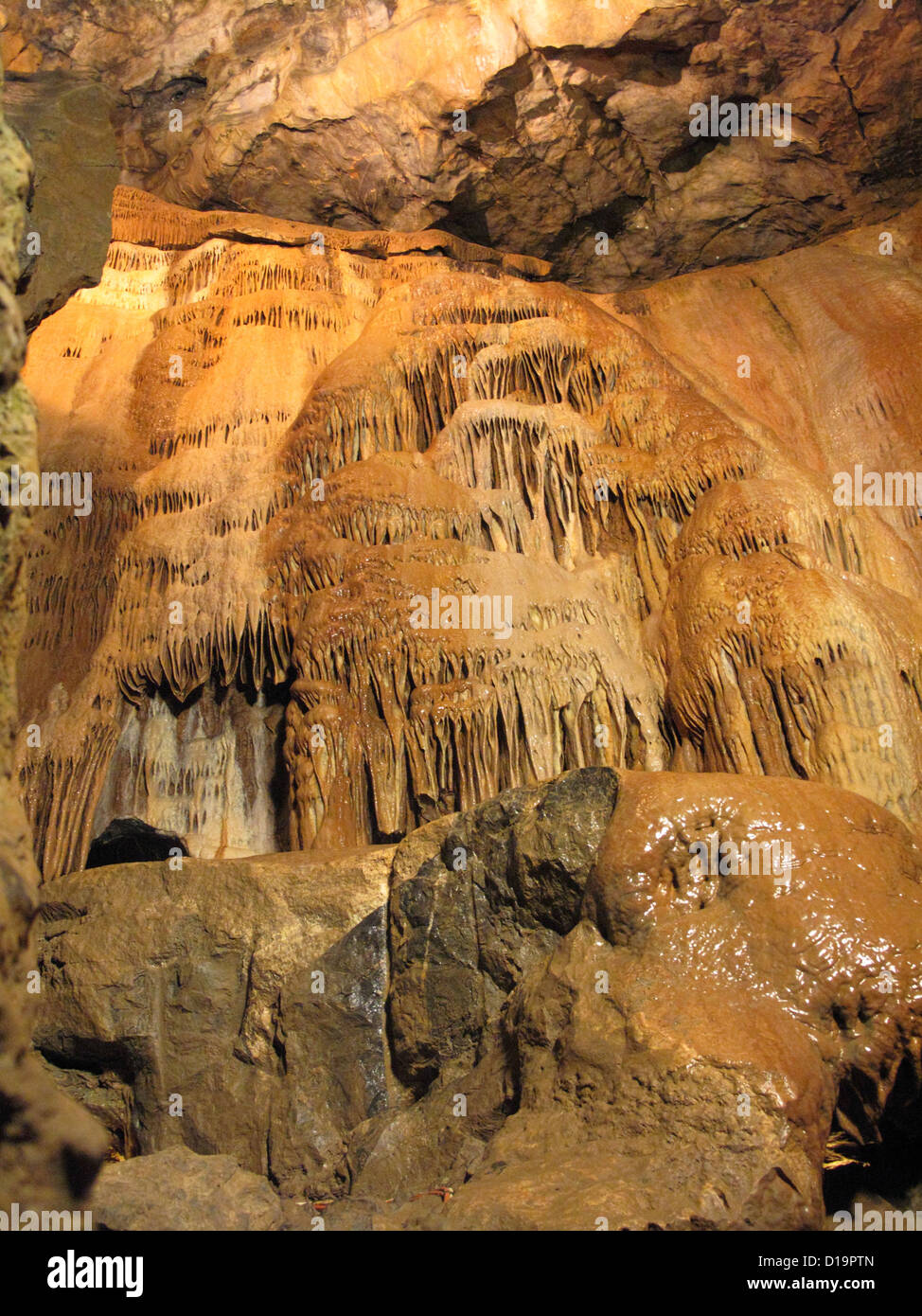 Stalactites formées sur le mur par l'eau dans les grottes calcaires de Cheddar Gorge Banque D'Images
