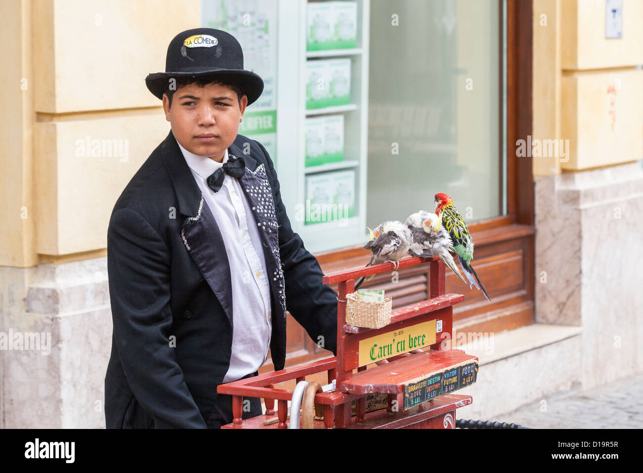 Jeune garçon d'orgue de barbarie dans les rues de la vieille ville, Bucarest, Roumanie Banque D'Images