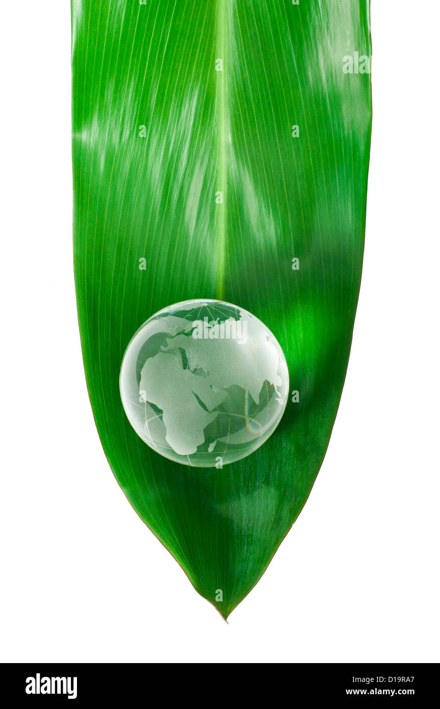Globe en verre sur feuille verte isolé blanc Banque D'Images