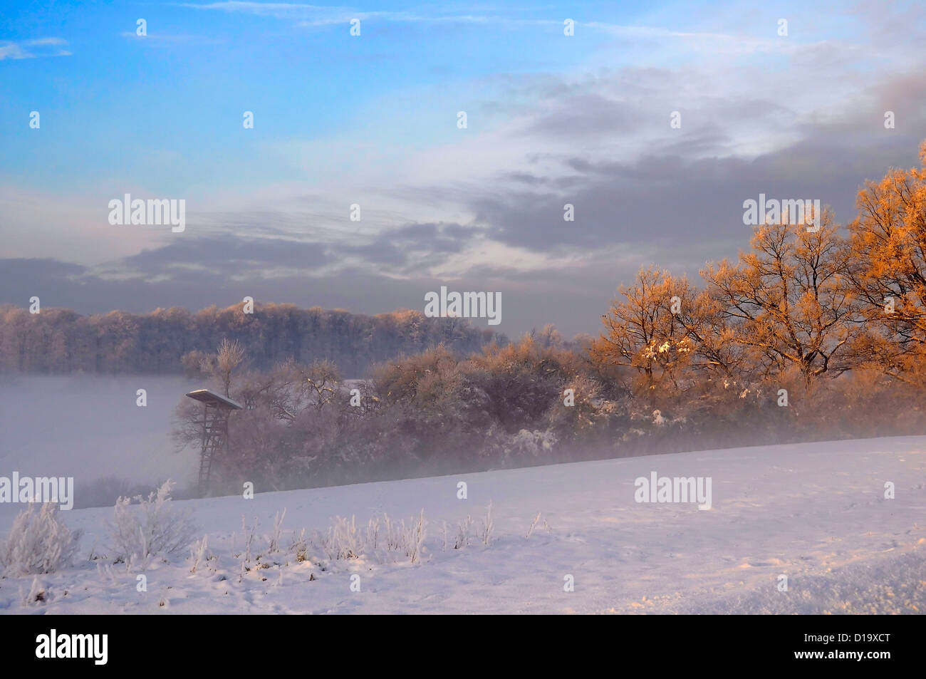 Lever du soleil avec de la neige à l'humeur du matin, Maulbronn, brouillard de neige, route de terre avec neige, soleil avec des rayons, neige, paysage, Banque D'Images